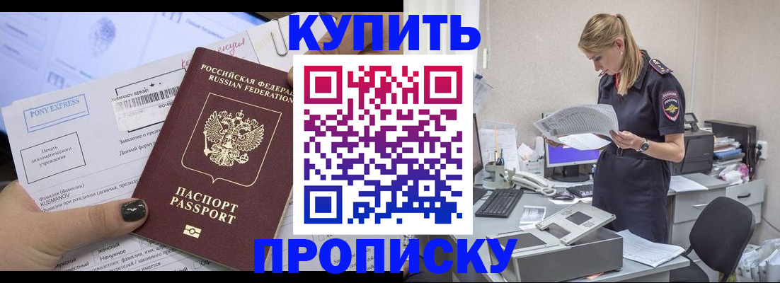 временная регистрация поиск в Щёлково